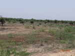52227Tank ID 1800265 Venkatapura 1.JPG