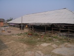 4673RIMG0107.JPG