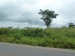 19990P1010840.JPG