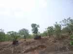 4025RIMG0329.JPG