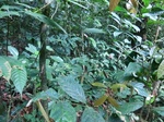45714CIMG2799.JPG