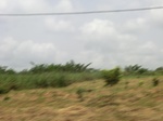 49264CIMG5601.JPG