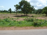 19529P1010376.JPG