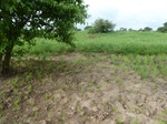 20858P1020720.JPG
