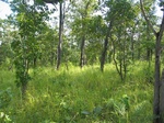 43630pic9.jpg