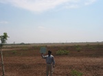 9363gt058b-fallow-farms-very-very-dry.gif