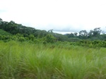 20251P1020106.JPG