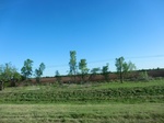 29076CIMG0558.JPG