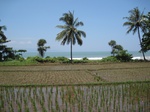 13995IMG_4312.JPG