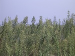 637R0015145.jpg