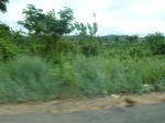 21130P1030009.JPG