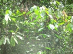 48398CIMG4735.JPG