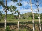 31978IMG_5626.JPG