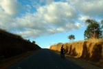 28575P1010592-1.JPG