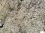 2012-08-31_14-37-43_SAM_3956.JPG