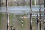 402IMG_3511.JPG