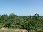 19451P1010298.JPG