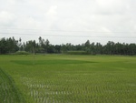 21686DSC00223.JPG