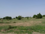 19098P1000943.JPG