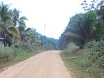 47264CIMG3601.JPG