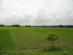 22009DSC00122.JPG
