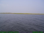 1484R0015191_tag.jpg
