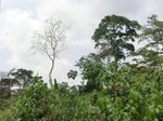 49587CIMG5924.JPG