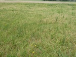 29196LANE20110602GPS.JPG