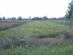 34547RIMG0012.JPG