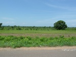 19569P1010416.JPG