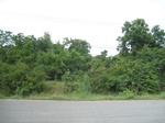 33548IMG_5818.JPG