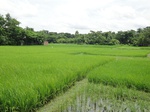 21297DSC00678.JPG