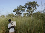 12185GT325_grassy_fallow.JPG