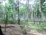 50657CIMG1286.JPG