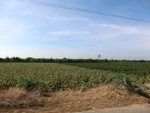 56125CIMG6827.JPG