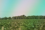 2024-08-05_14-25-24_68E7873E-B08B-49E0-9E39-877383F1793D.jpeg