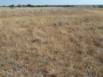 39314WASH20110803GPS.JPG