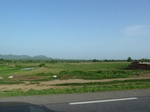 19379P1010225.JPG
