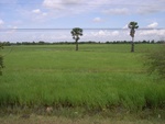 33377RIMG0117.JPG