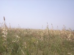 9054RIMG0132.JPG