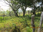 31816IMG_5417.JPG