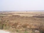 3158 091.jpg
