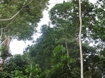 47652CIMG3989.JPG