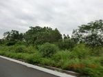 34726CIMG2551.JPG