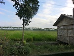 31315CIMG1177.JPG