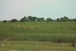 2024-08-05_14-55-49_ED08E658-7CC5-406A-95BD-BFC5A17E060D.jpeg