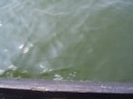 1353R0015126_small.jpg