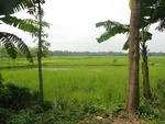 26025DSC00936.JPG