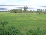 33417RIMG0157.JPG