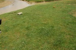 27461DSC_7368.JPG